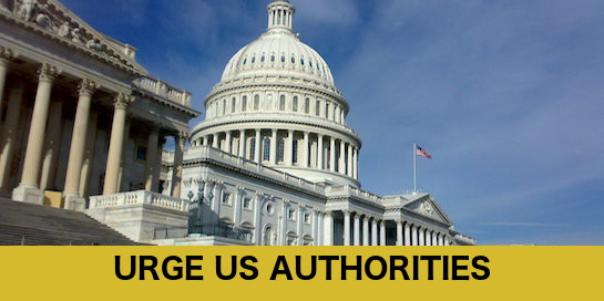 Protecting Erdogan Dissidents in the U.S