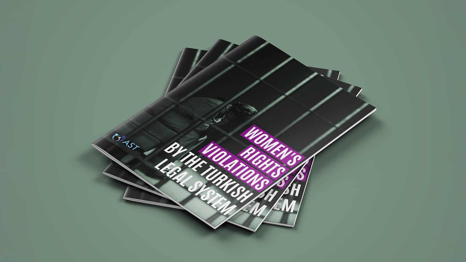 Women’s Rights Violations by the Turkish Legal System