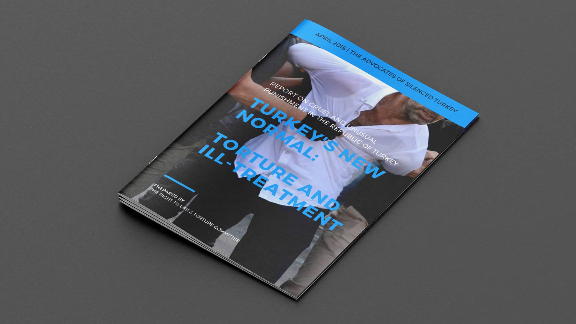 Turkey’s New Normal: Torture and Ill-Treatment