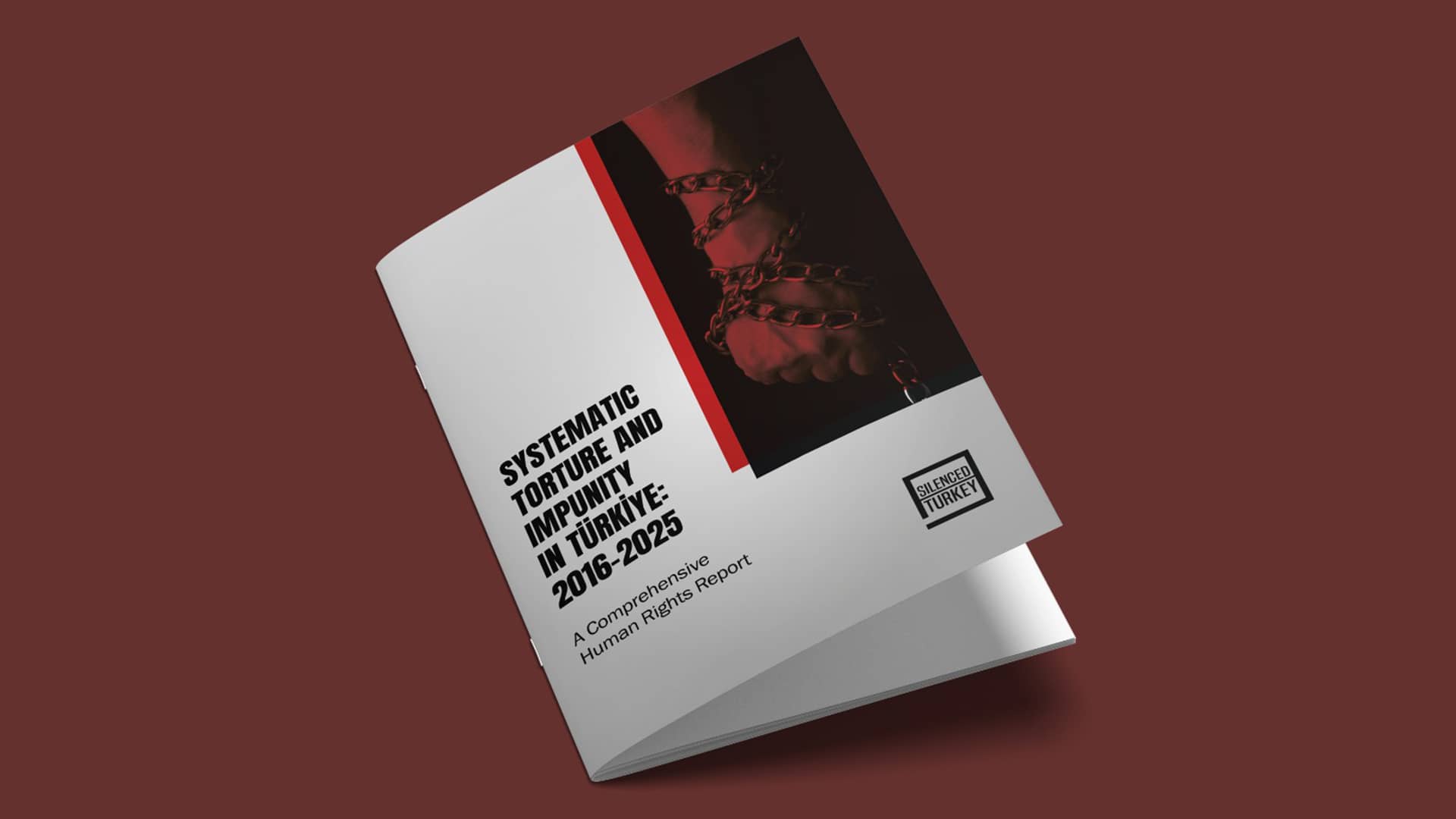 Systematic Torture and Impunity in Türkiye: 2016–2025